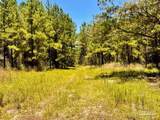 Lot 13 Naturewalk Dr - Photo 13