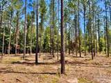 Lot 17 Pine Preserve Ln - Photo 12