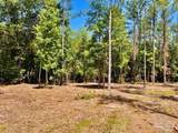 Lot 17 Pine Preserve Ln - Photo 13