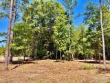 Lot 17 Pine Preserve Ln - Photo 15