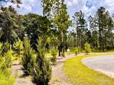 Lot 17 Pine Preserve Ln - Photo 6