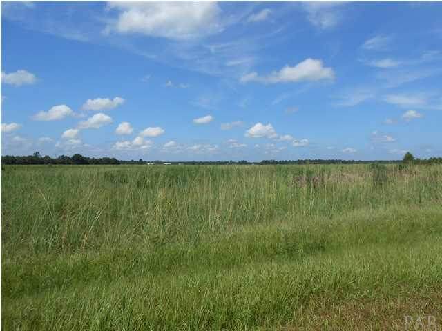2 Jack Springs Rd - Photo 1