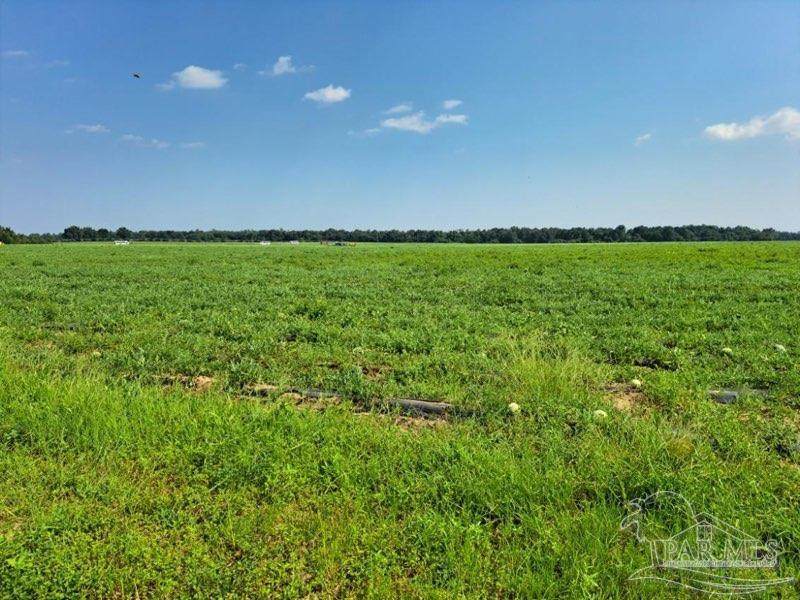 0 Jesse Allen Rd - Photo 1
