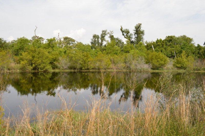 302 Garcon Point Rd - Photo 1
