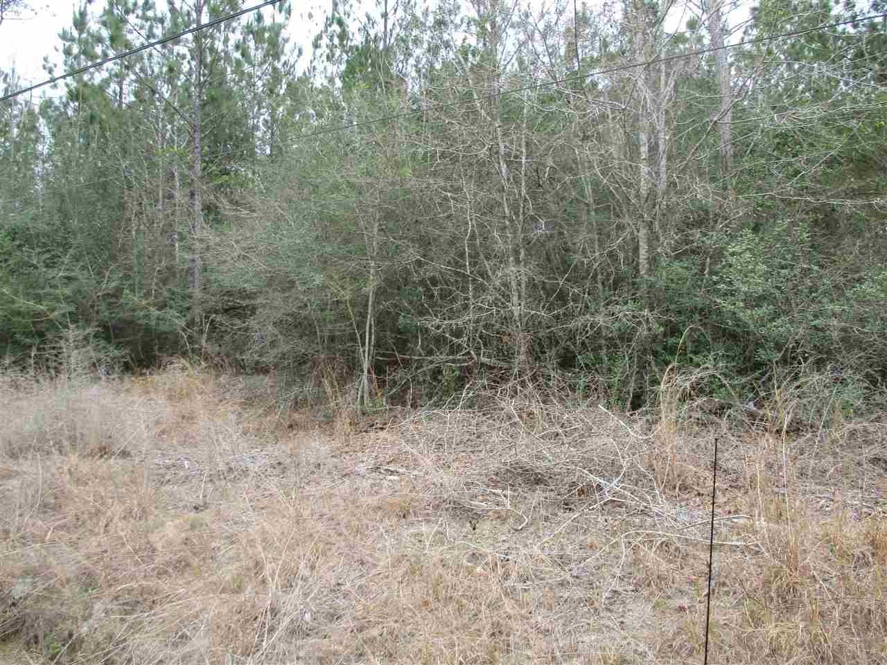 20 Acres Shady Hollow Dr - Photo 1