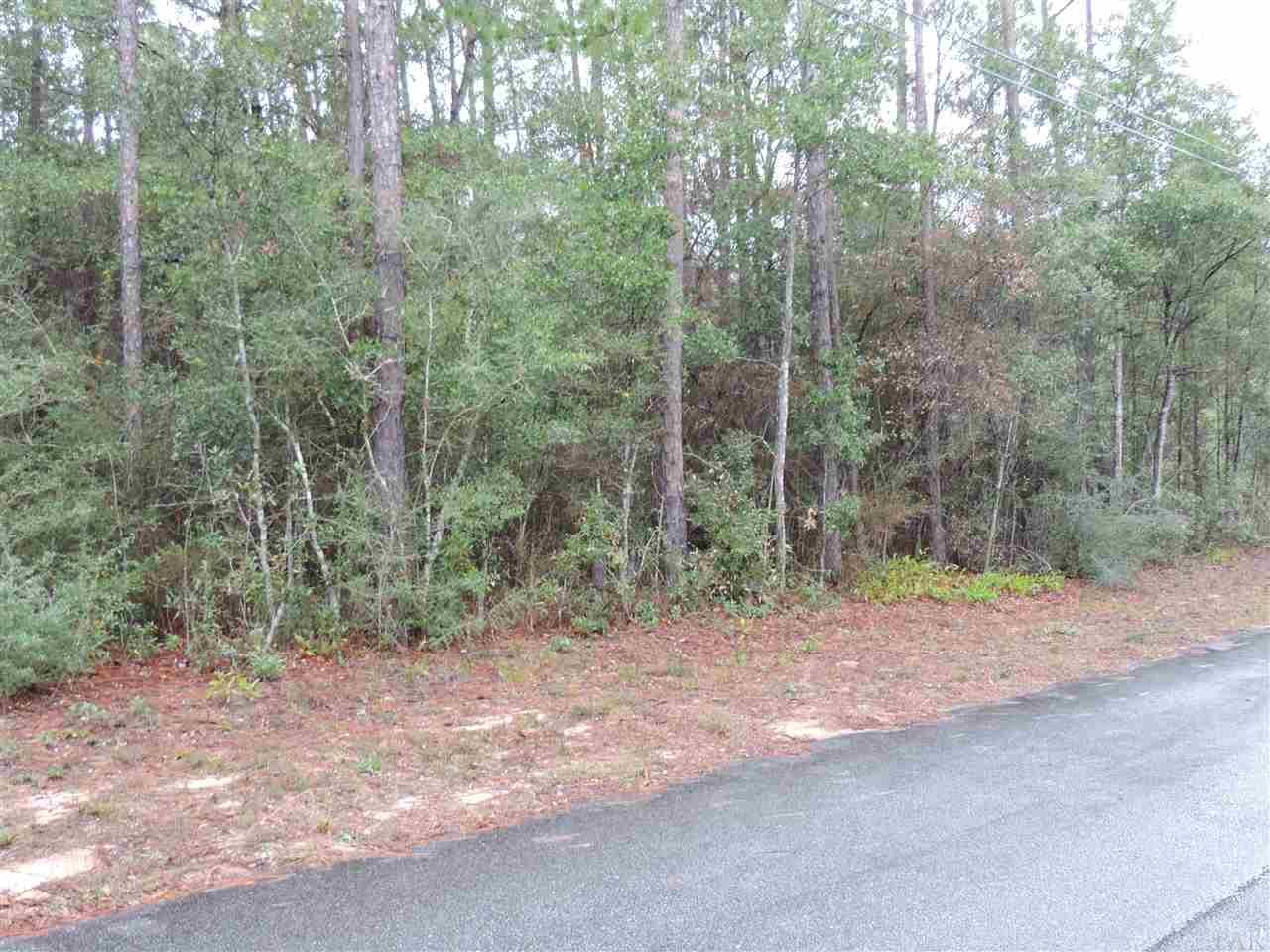 Lot 6 Blk I Stirrup Ln - Photo 1