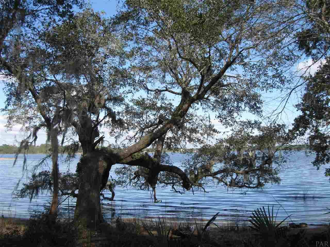 7658 Old Bay Pointe Rd - Photo 1