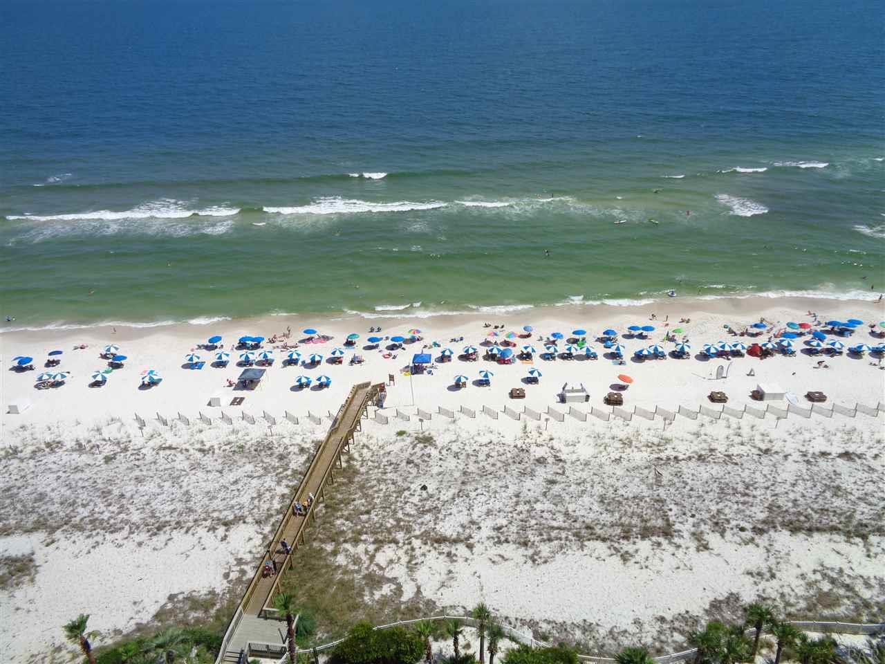 13621 Perdido Key Dr - Photo 1