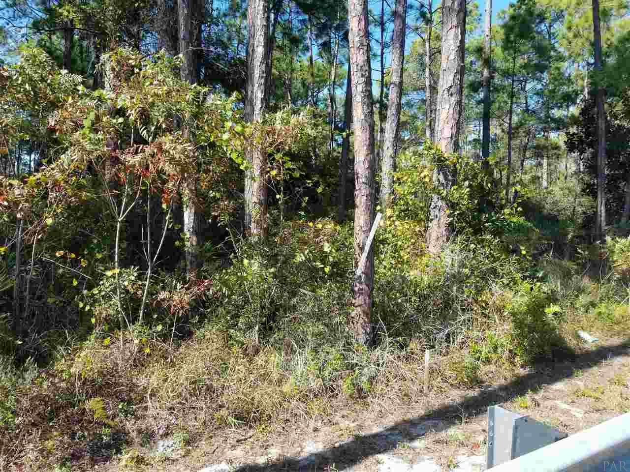Lot 20 Tiburon Cir - Photo 1