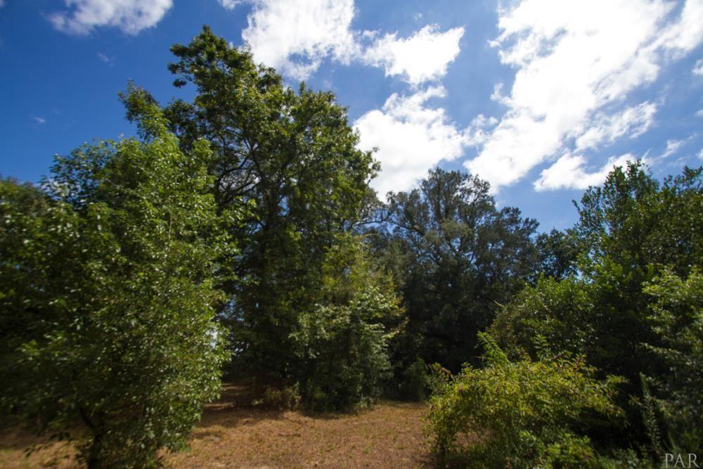 3901 Scenic Hwy - Photo 1