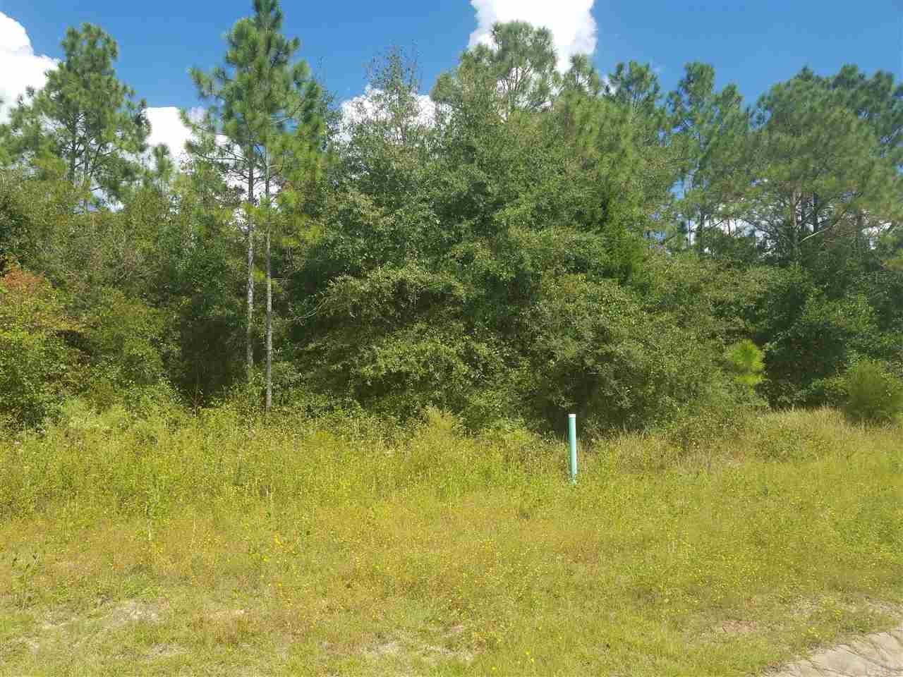 4611 Red Oak Dr - Photo 1