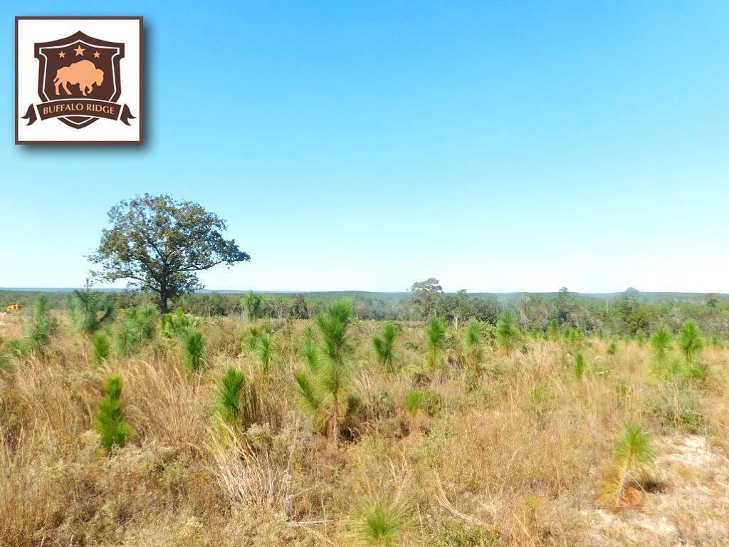 Lot 11 MBN Molino Bridge Rd - Photo 1