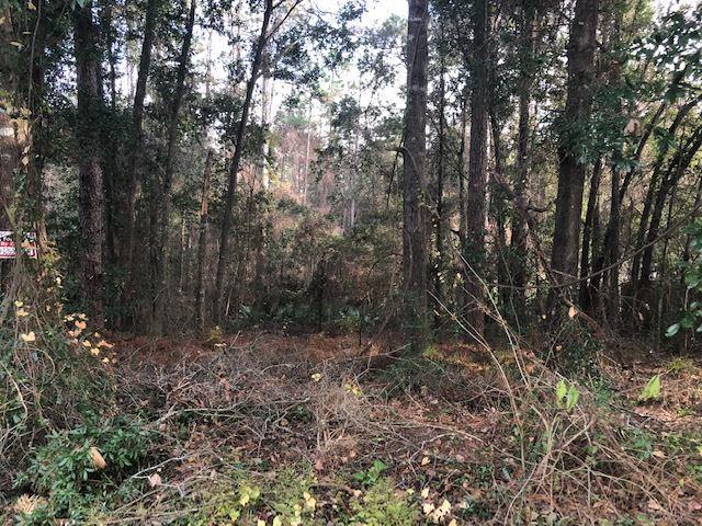 5120 Pine Hollow Dr - Photo 1