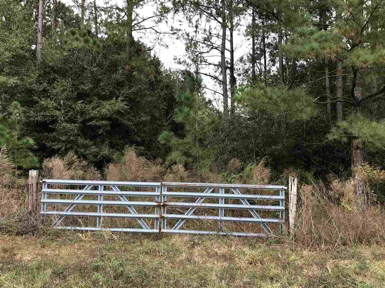 7500 Killam Rd - Photo 1