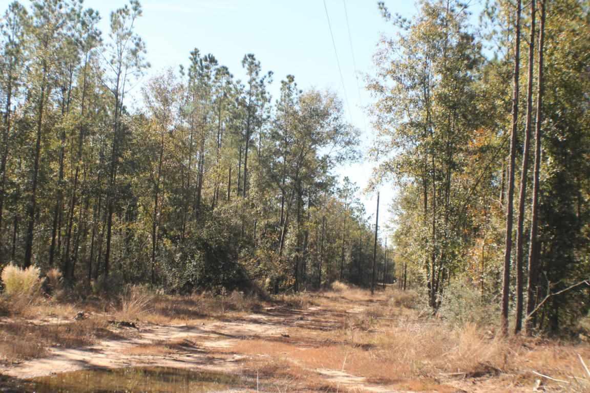 Lot 4 Forest Hills Dr - Photo 1