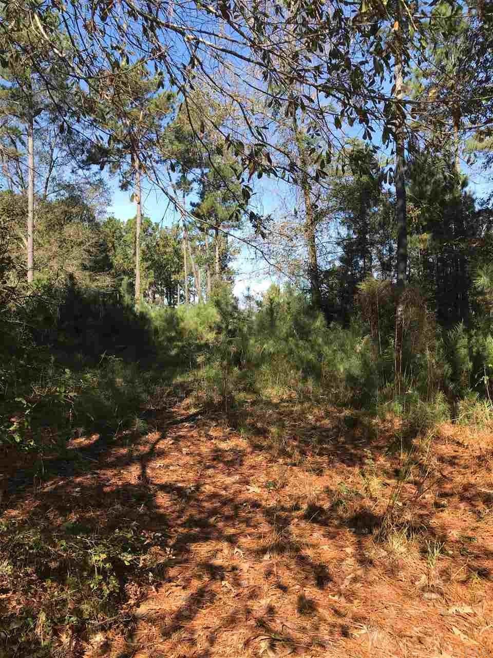 42523 Us Hwy 31 - Photo 1