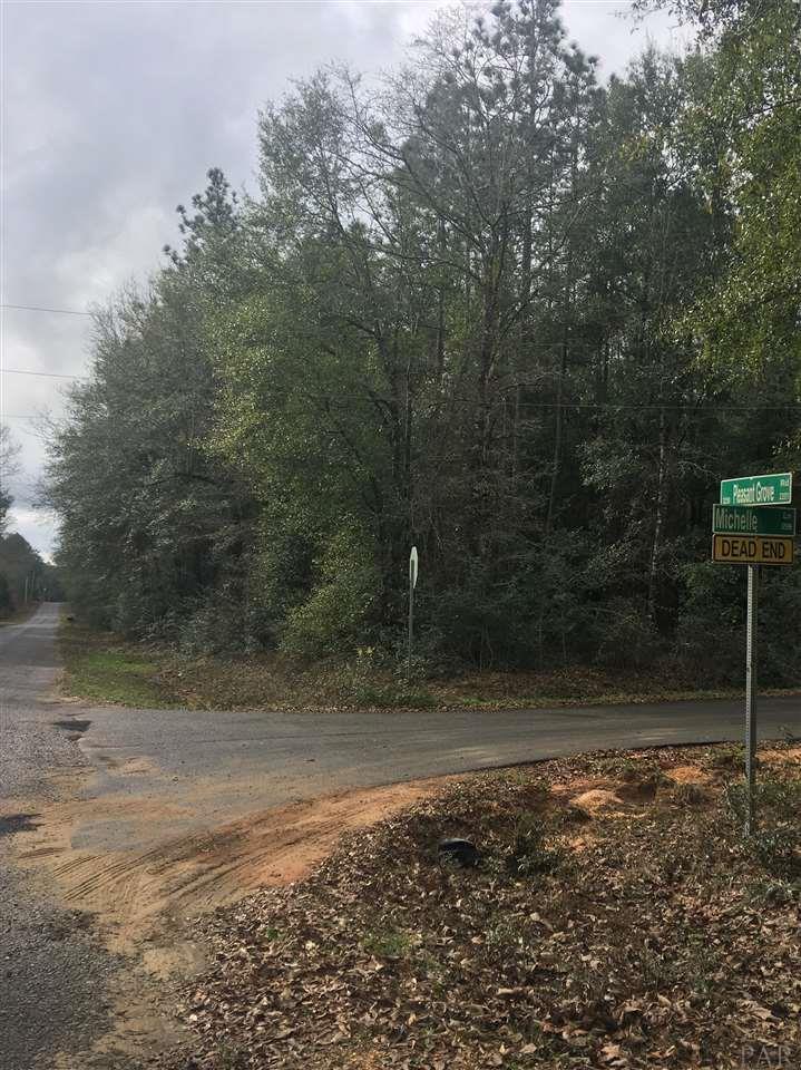 0 Michelle Ln - Photo 1