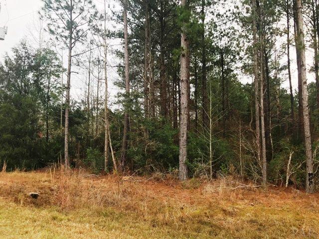 61180 Milstead Rd - Photo 1
