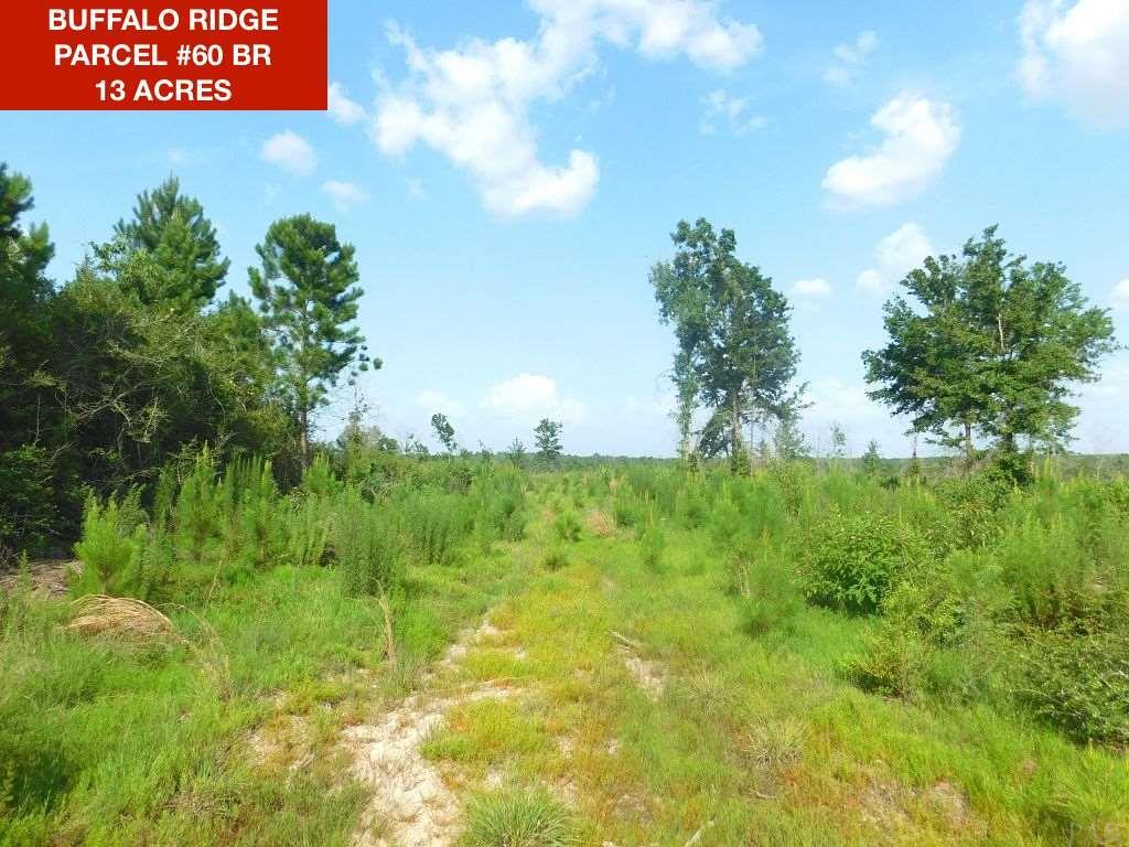 Lot 60 BR Buffalo Ridge Rd - Photo 1