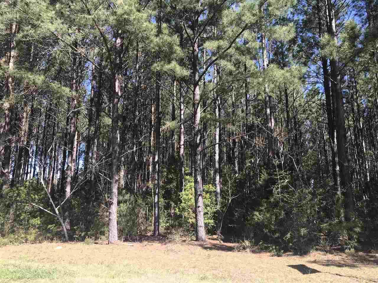 00 Hay Meadow Rd - Photo 1