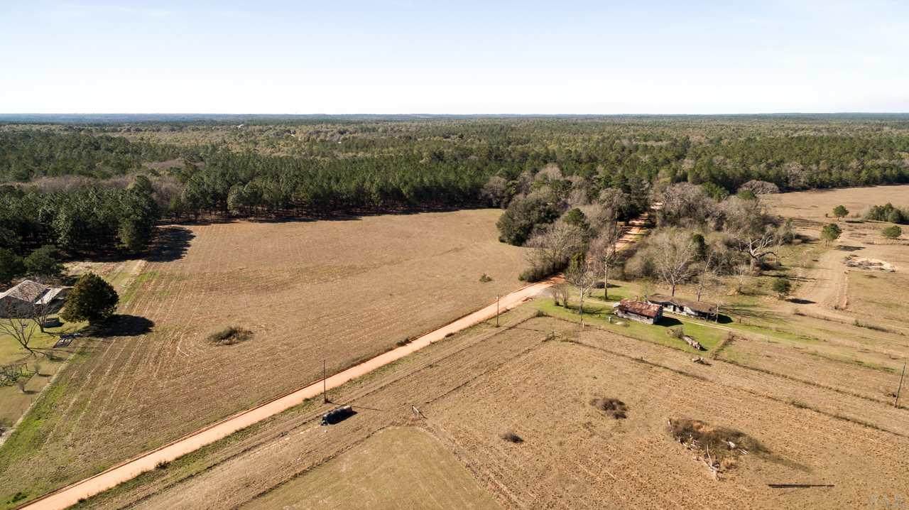 6026 Lake Ella Rd - Photo 1