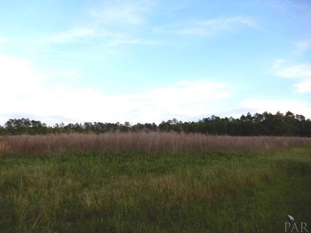 1400 Blk Sunset Dr - Photo 1