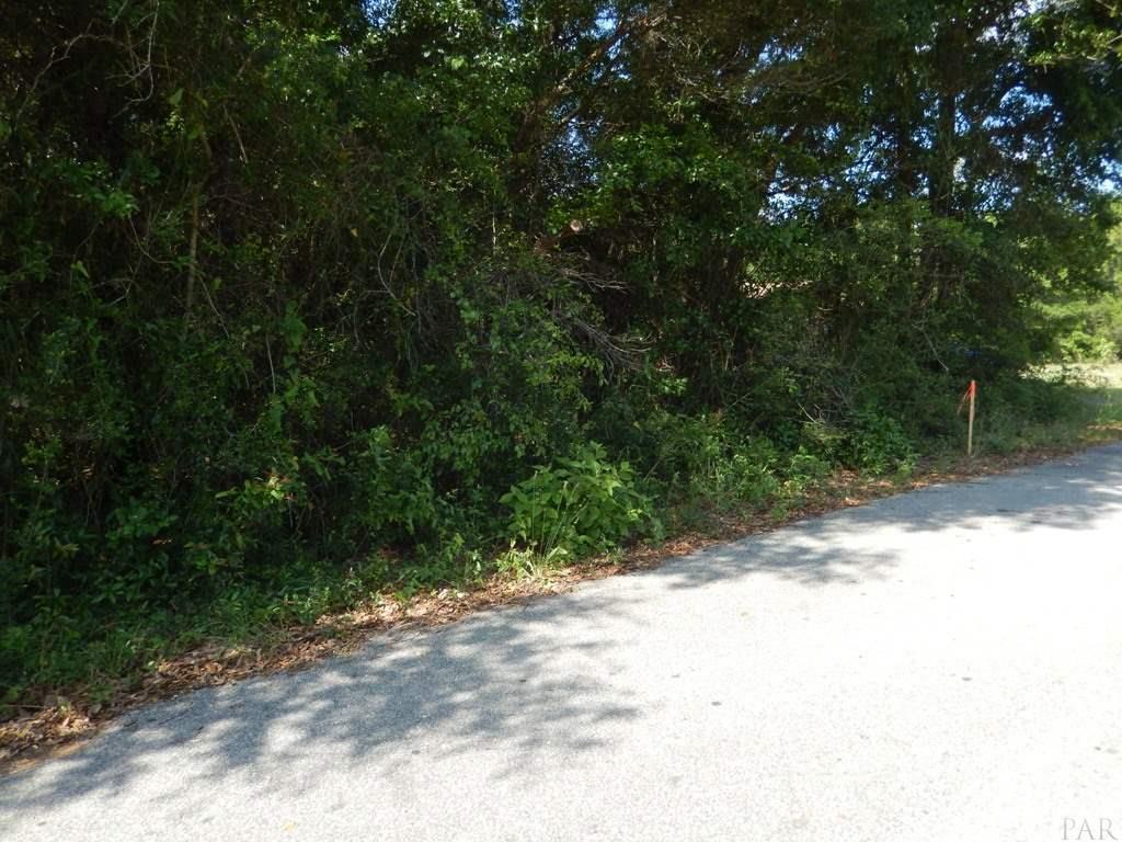 0000 Silver Oak Dr - Photo 1
