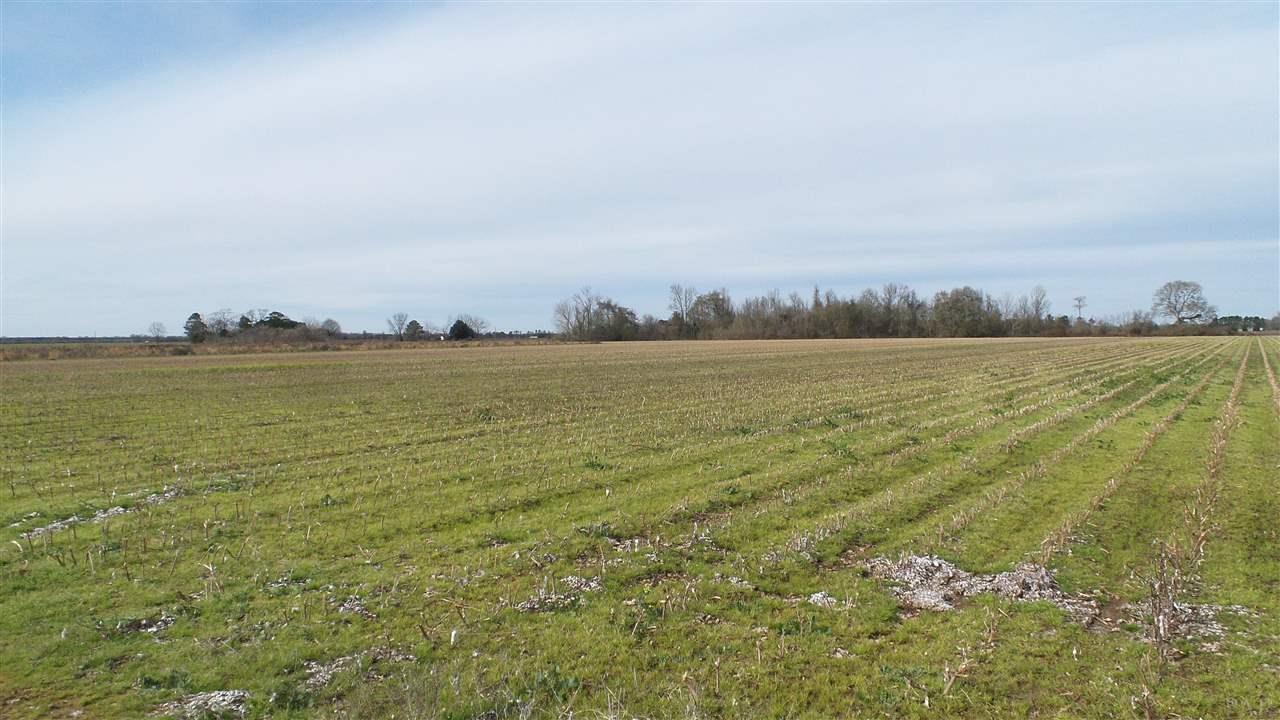 1 Davis Pond Rd - Photo 1
