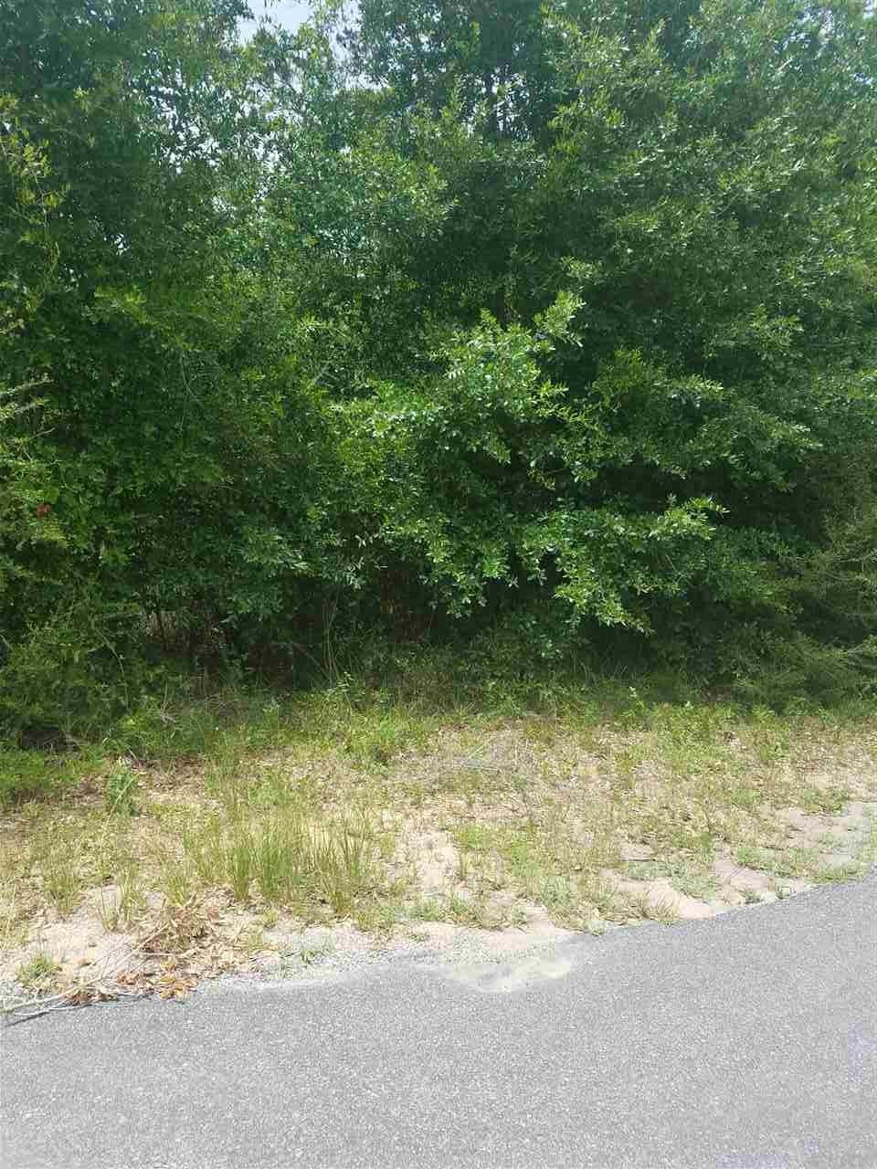 000 Guseman Rd - Photo 1