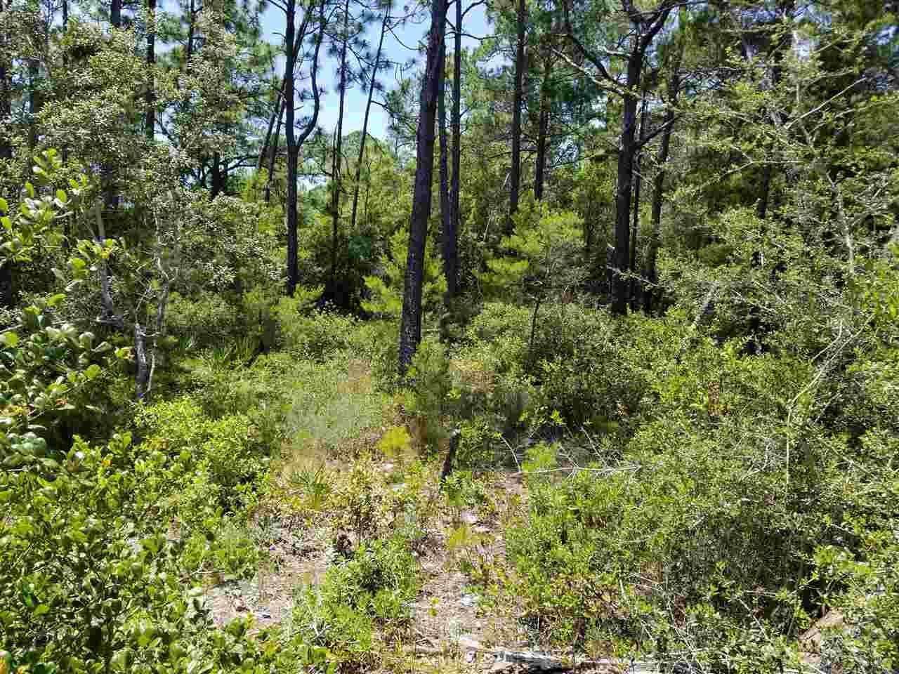 0000 Galveston Ct - Photo 1