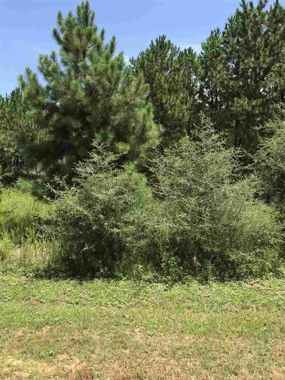 Lot 92 Arabian Rd - Photo 1