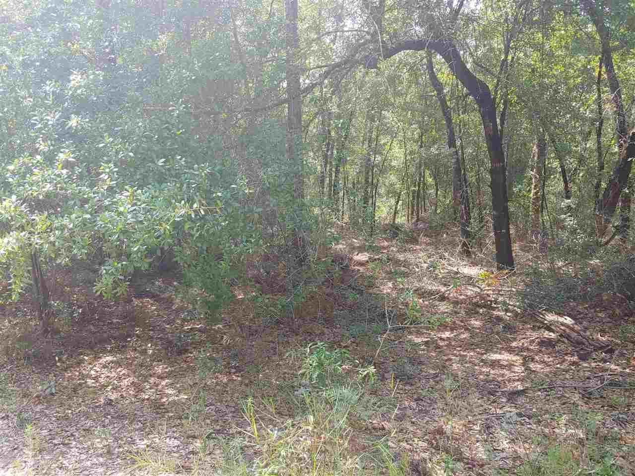 Lot 23/24 Forestwood Dr - Photo 1