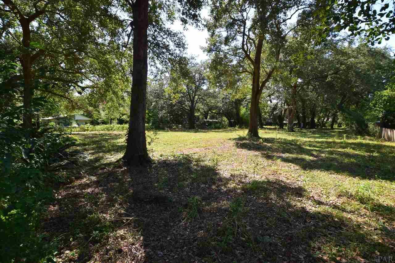 5691 Turkey Rd - Photo 1