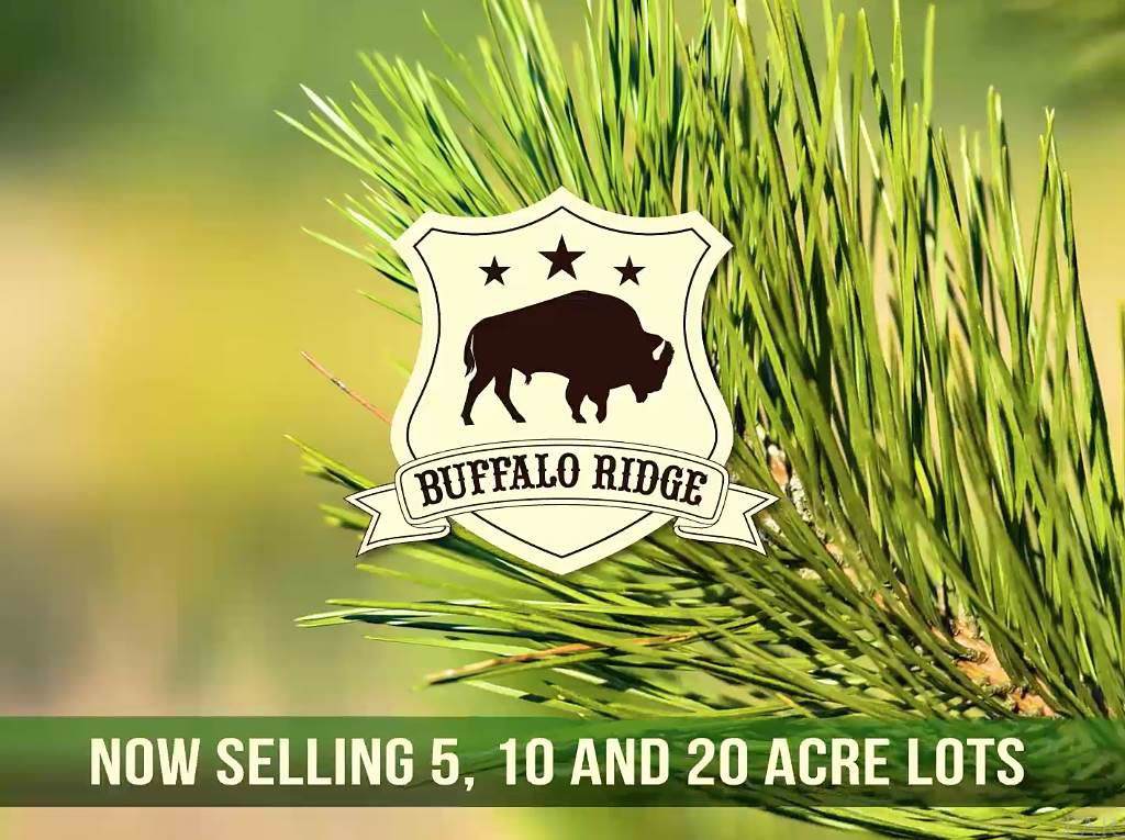 Lot 71 BR Buffalo Ridge Rd - Photo 1