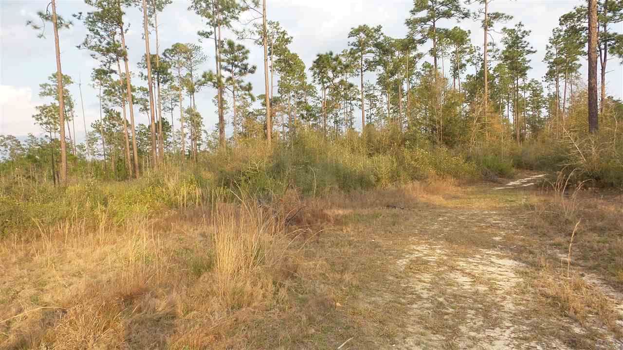 5 Lewis Rd - Photo 1