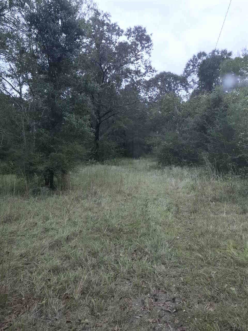 lot 1 Munson Hwy - Photo 1