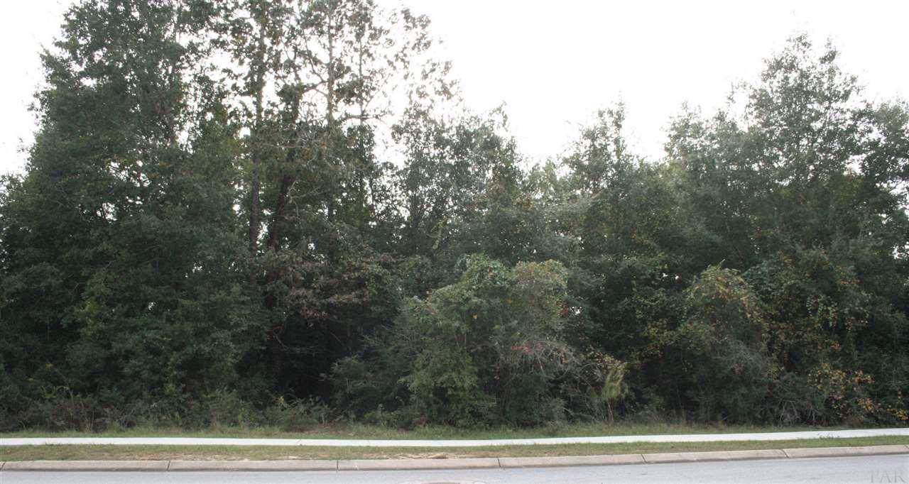 8683 Foxtail Loop - Photo 1