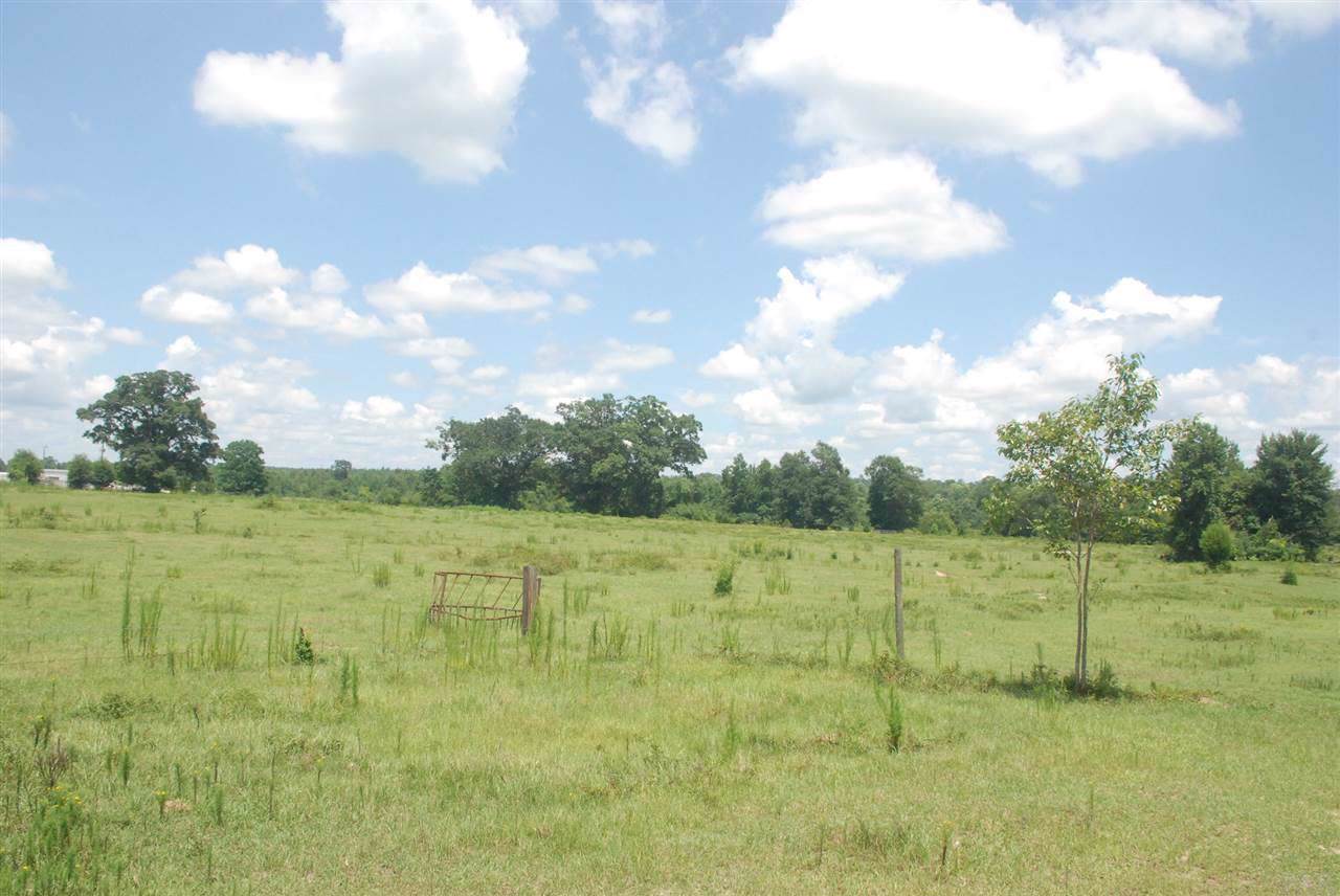 0-3 Hwy 31 - Photo 1