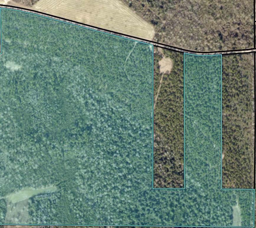 Parcel # 4 Sid Hayes Rd - Photo 1