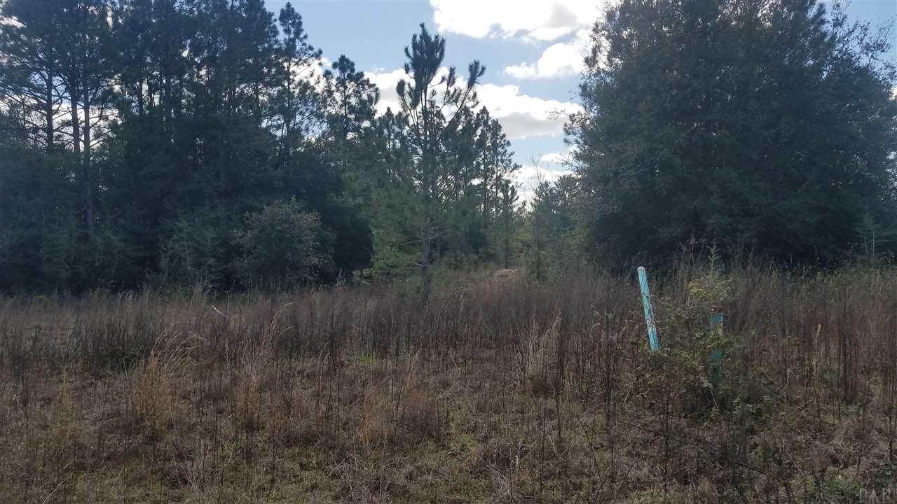8015 Red Maple Dr - Photo 1