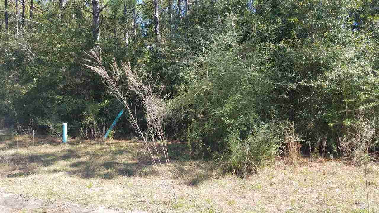 8082 Majestic Cypress Dr - Photo 1