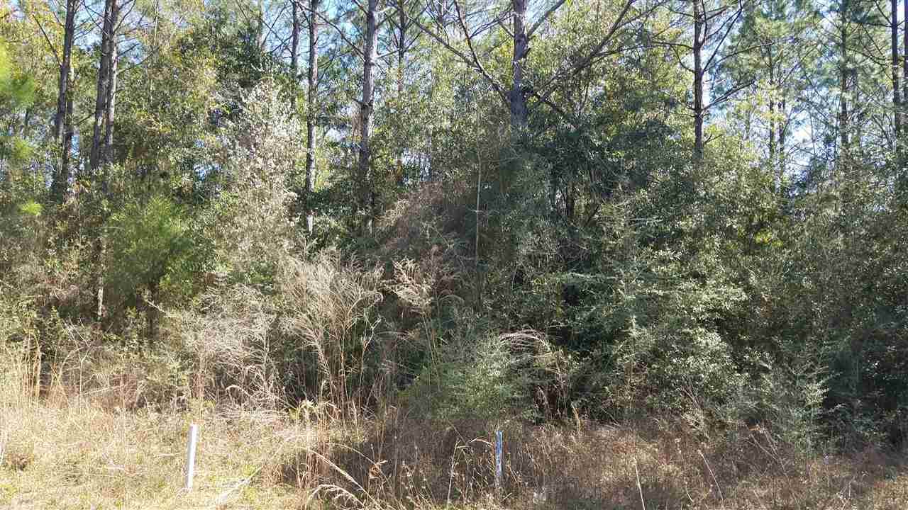 4641 Red Oak Dr - Photo 1