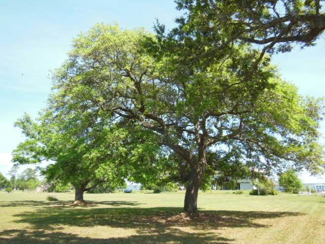 0000 Owensville Rd - Photo 1