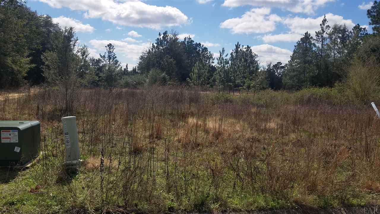 4599 Red Oak Dr - Photo 1