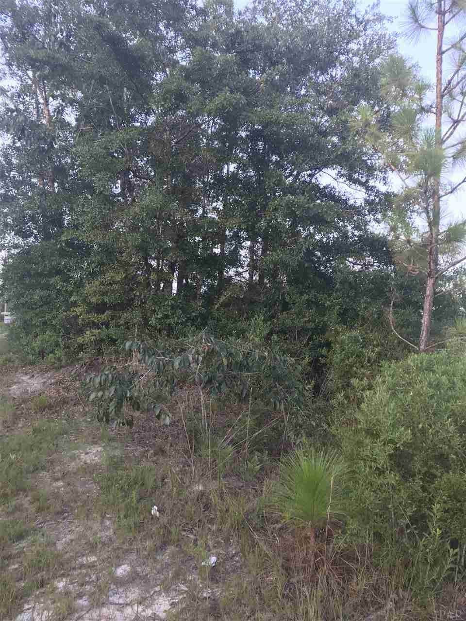 LOT 5 Lewis Rd - Photo 1 LOT 5 Lewis Rd - Photo 1