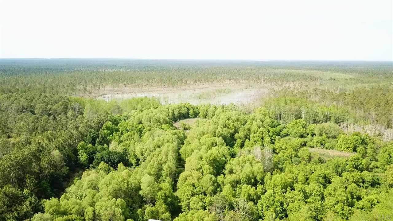 000 Mary Kitchens Rd - Photo 1