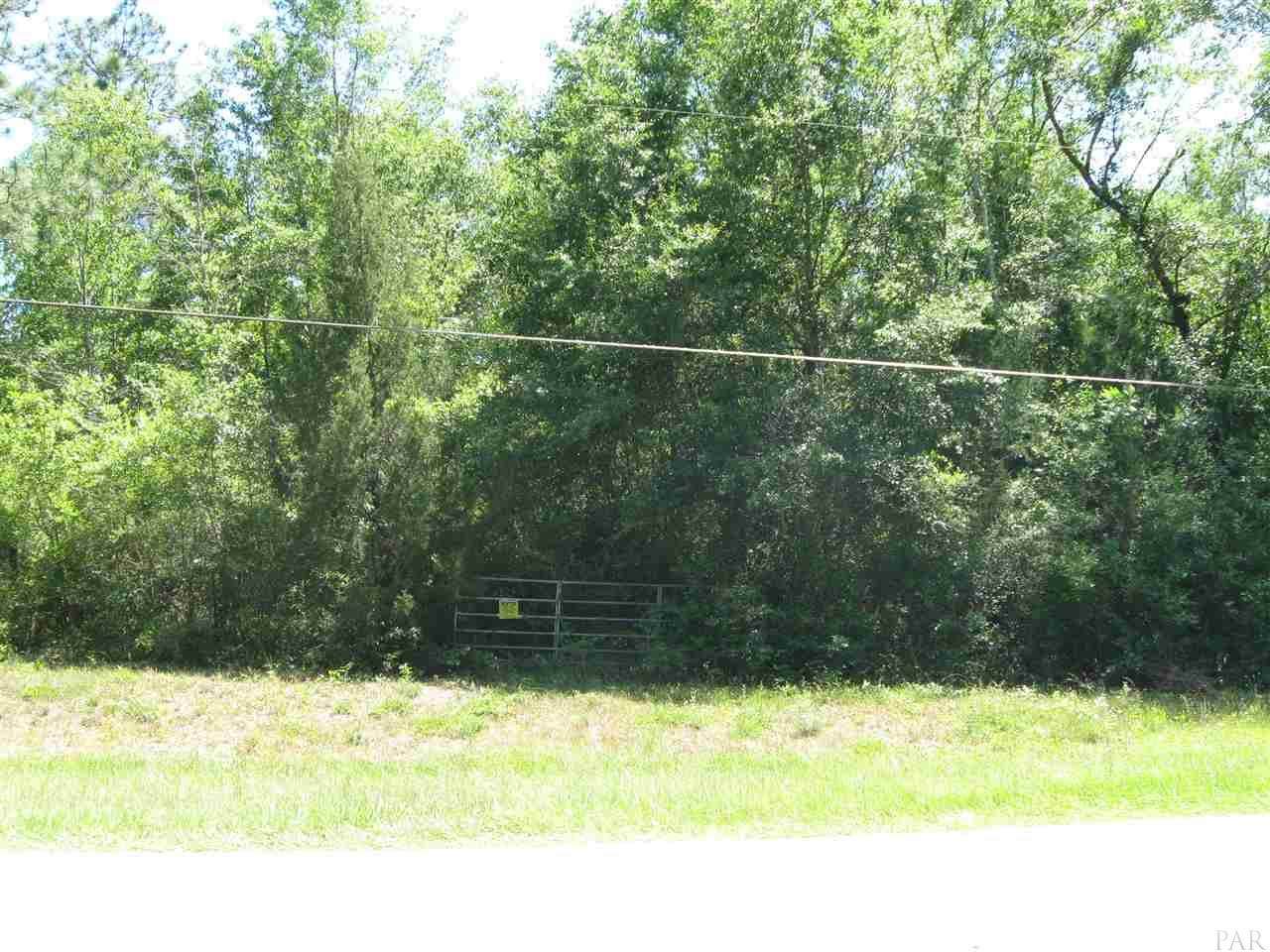 3573 Molino Rd - Photo 1 3573 Molino Rd - Photo 1
