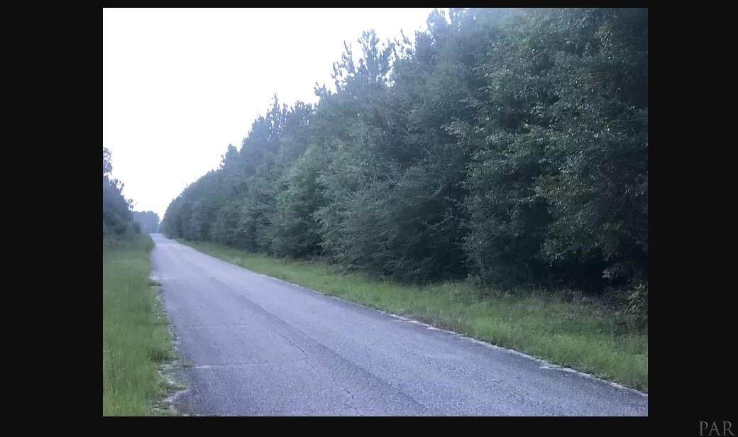 lot 5 Pineview Church Rd - Photo 1