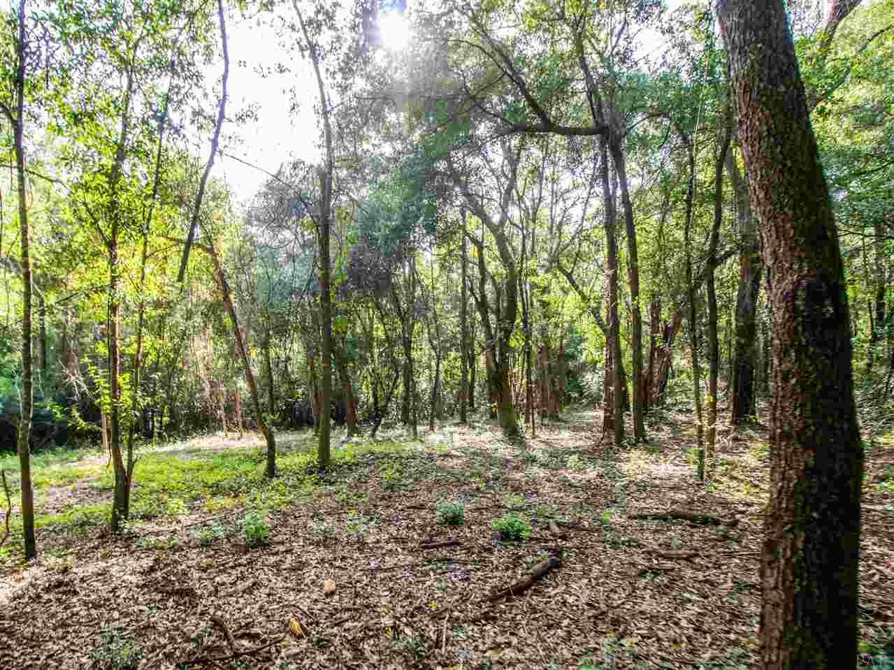 Outer Dr - Photo 1
