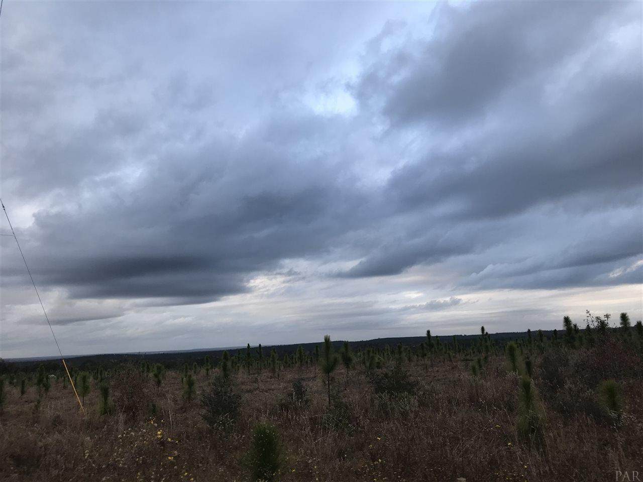 Lot 22 MBN Molino Bridge Rd - Photo 1